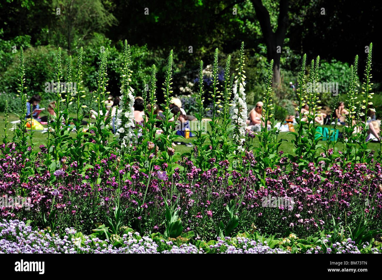 Blumenbeet und Menschen entspannen im Park, Hyde Park, City of Westminster, London, England, Vereinigtes Königreich Stockfoto