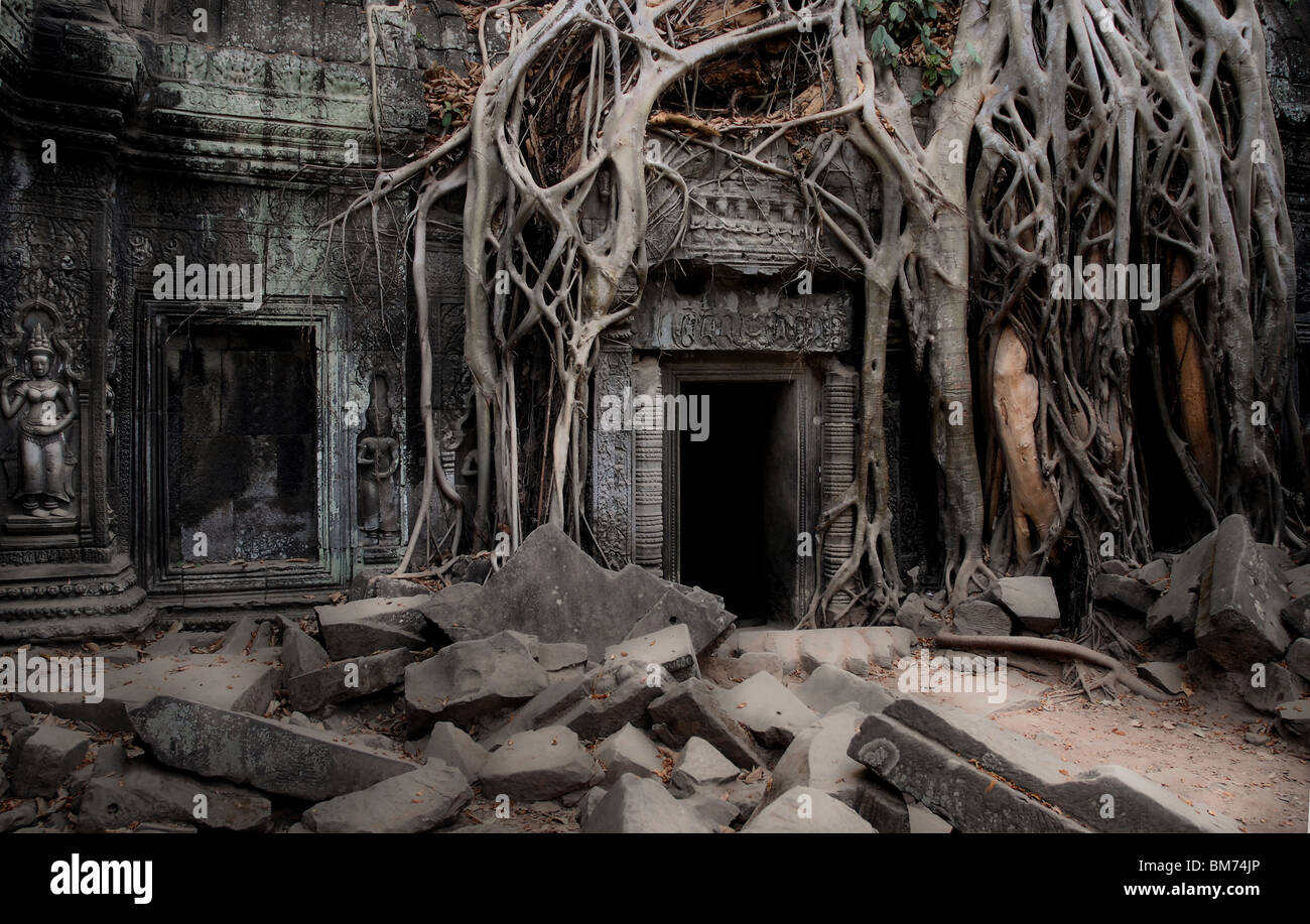 Ta Prohm Tempel in Siem Reap Kambodscha wie in Tomb Raider Stockfoto
