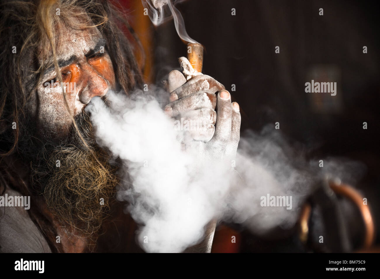 Naga sadus während der haridwar Kumbh mela 2010. Indien Stockfoto