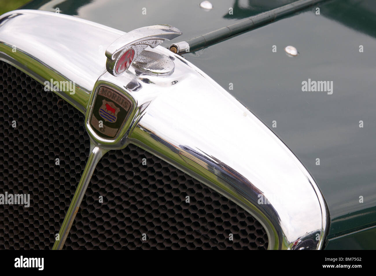 Heizkörper-Grills und Morris Motors Embleme auf eine 1938 Morris 8 Tourer Stockfoto