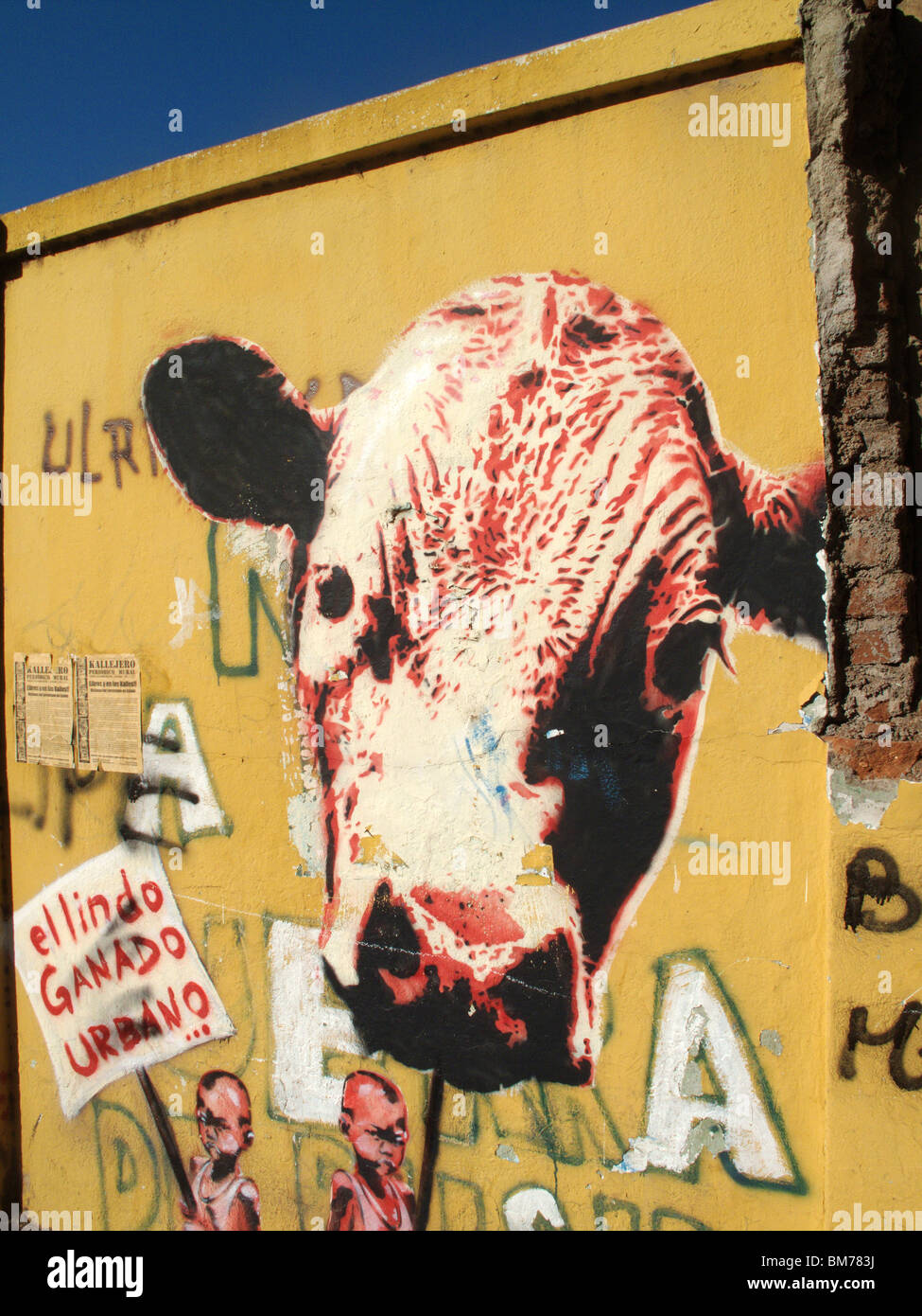 Ein Wandbild zeigt den Kopf einer Kuh in Valparaiso in Chile Stockfoto