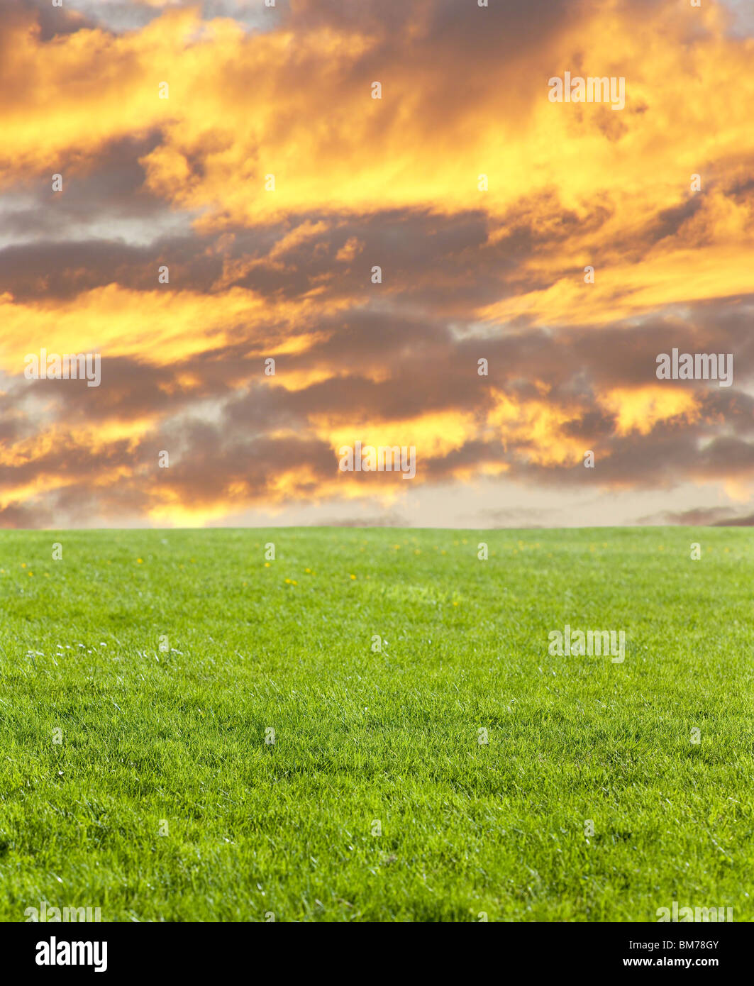 Grünen Wiese und Feuer cloud für Hintergrund Stockfoto