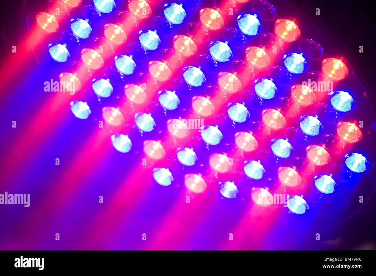 Schöne bunte Disco-Beleuchtung in der Phase Stockfoto
