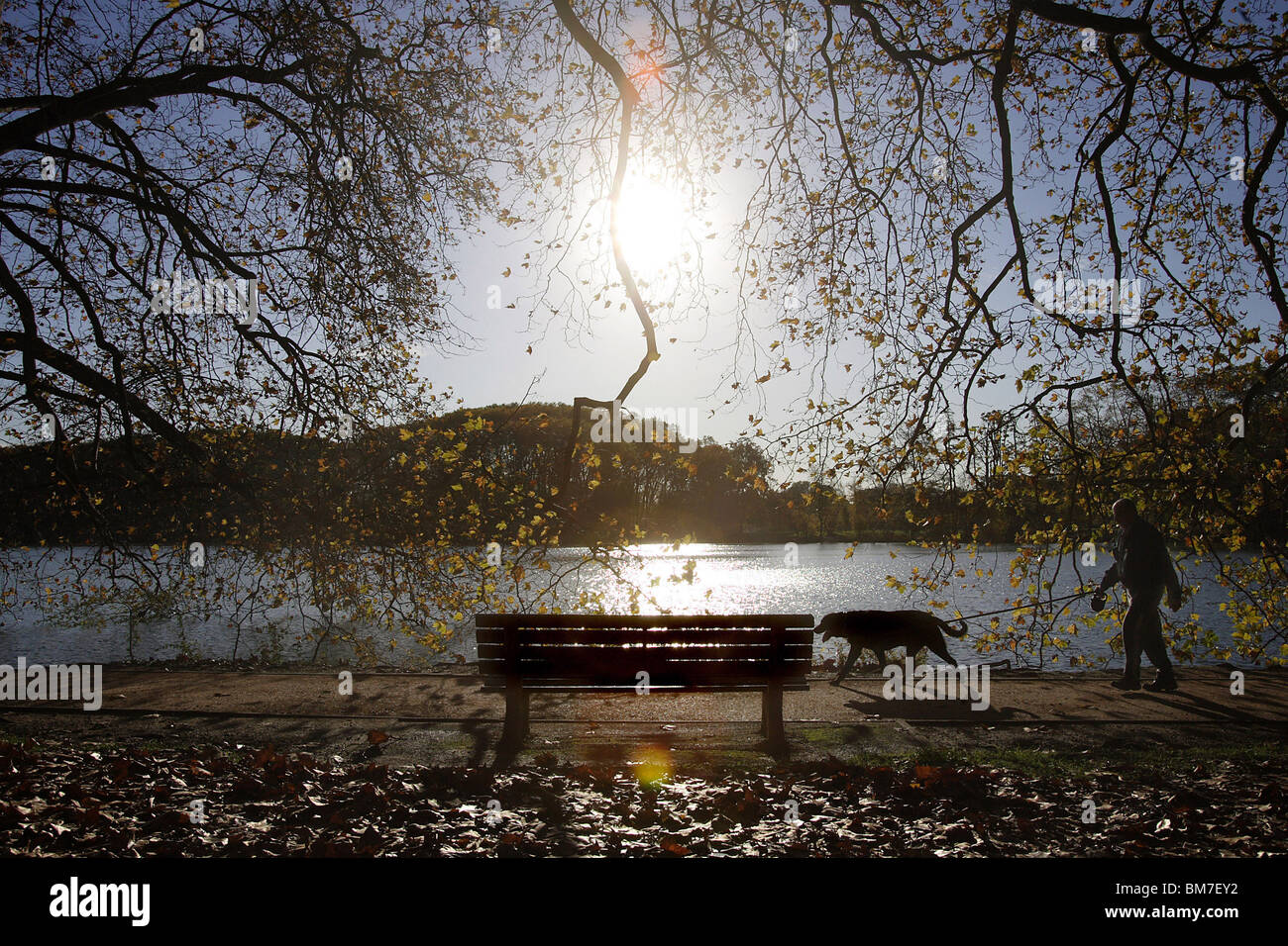 Lyon (69): Mann mit einem Spaziergang mit seinem Gog in den "Parc De La Tête d 'or" (wörtlich: Golden Head Park), 2008 Stockfoto