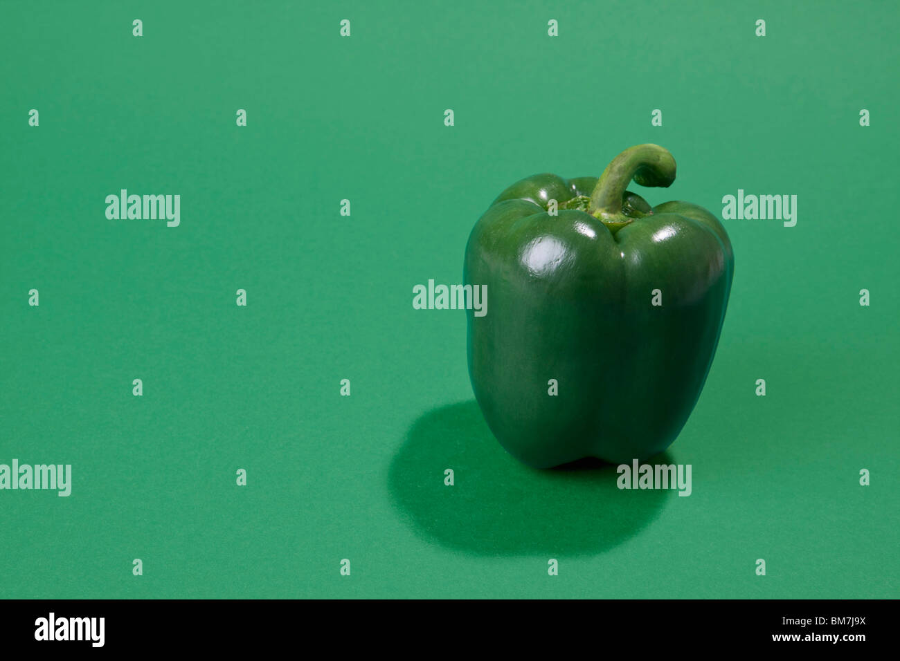 Eine grüne Paprika Stockfoto
