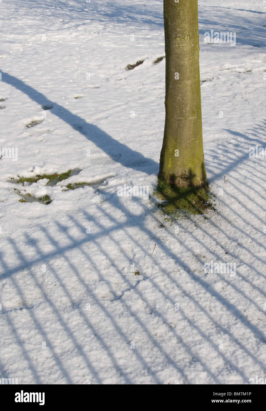 blaue Schatten von Geländern im Schnee mit einem Baumstamm werfen Stockfoto