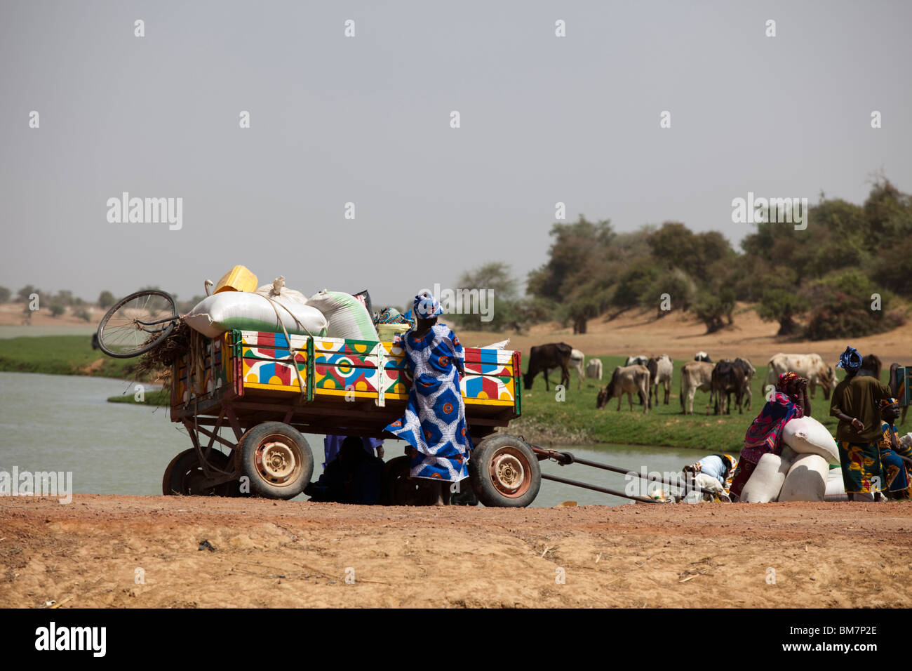 Familien in bunt angemalt Eselskarren warten auf ein Kanu über den Fluss, die historische Stadt Djenne, Mali mitnehmen. Stockfoto