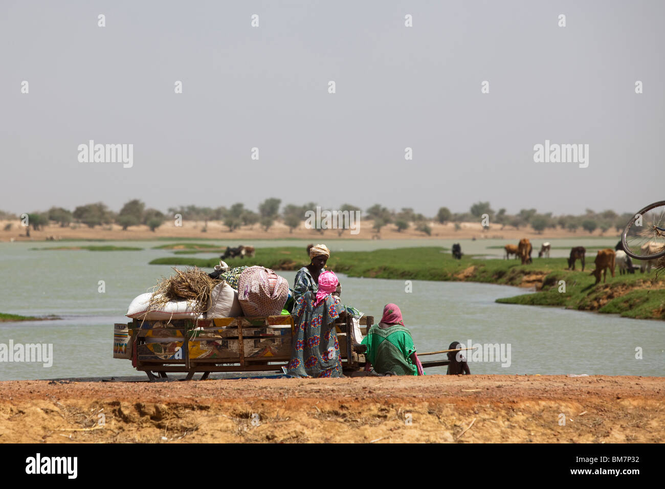Familien in bunt angemalt Eselskarren warten auf ein Kanu über den Fluss, die historische Stadt Djenne, Mali mitnehmen. Stockfoto