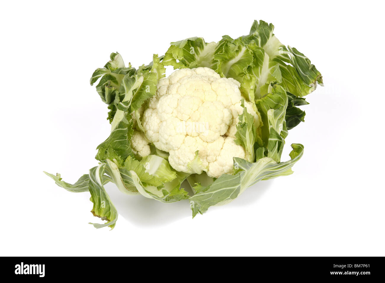 Ein Blumenkohl Gemüse vor einem weißen Hintergrund Stockfoto
