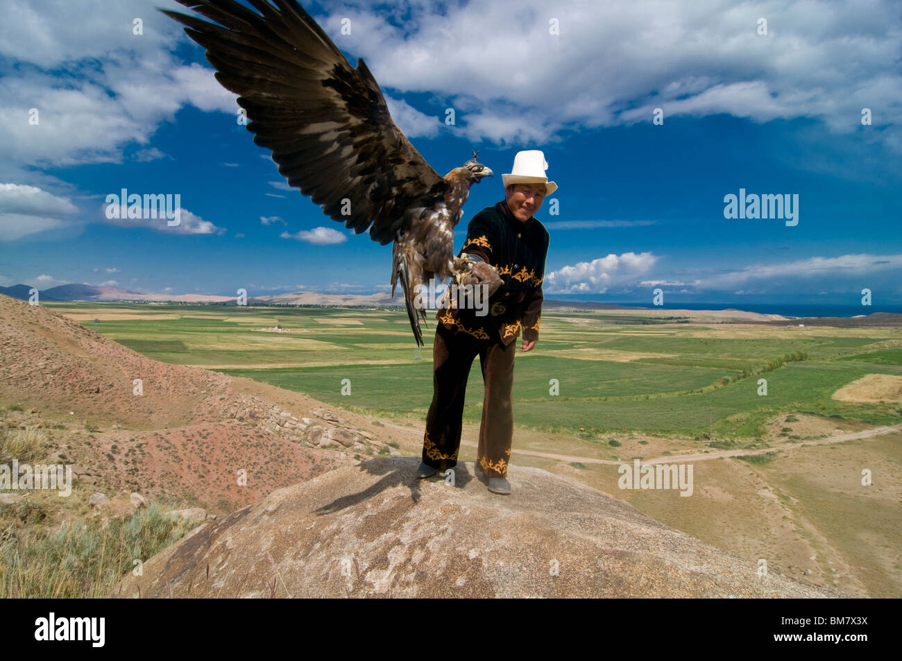 Adler, Raptor Jäger, Issy Köl, Kirgisistan Stockfoto
