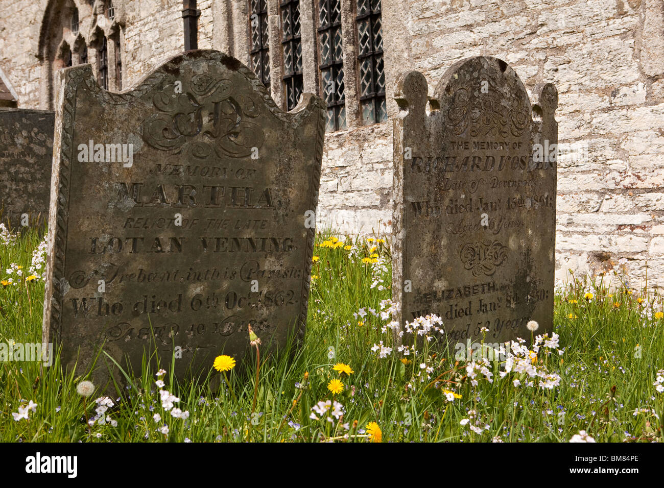Großbritannien, Cornwall, Altarnun, St Nonna Pfarrei Kirchhof, Schiefer Gräber unter wilden Blumen Stockfoto