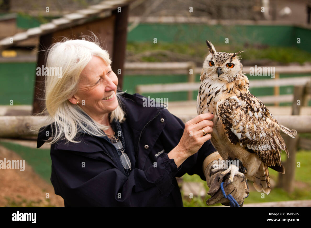 Großbritannien, England, Cornwall, Nord Petherwin, Tamar Otter und Wildlife Centre, Besucher mit asiatischen Uhu Stockfoto