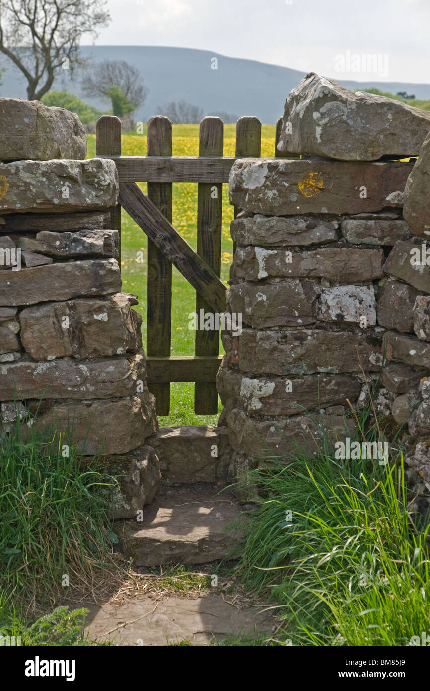 Gated Stil auf einem Wanderweg in der Nähe von Aysgarth in den Yorkshire Dales. Löwenzahn ist hinter dem Tor. Stockfoto
