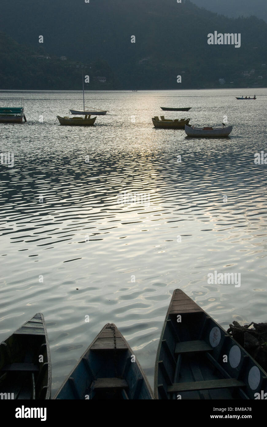 Boote am See, am frühen Abend, Phewa Tal-See, Pokhara, Nepal Stockfoto