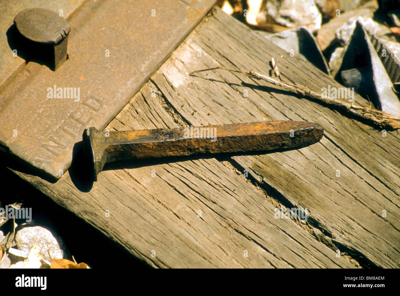 Rost Rail Spike Nagel auf hölzernen Track Krawatte Stahl Zug Metall starke Kraft halten Schmiede abhängen Stockfoto