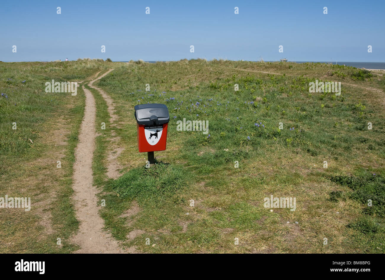 Ein Hund Entsorgung Behälter neben einem Fußweg.  Foto von Gordon Scammell Stockfoto