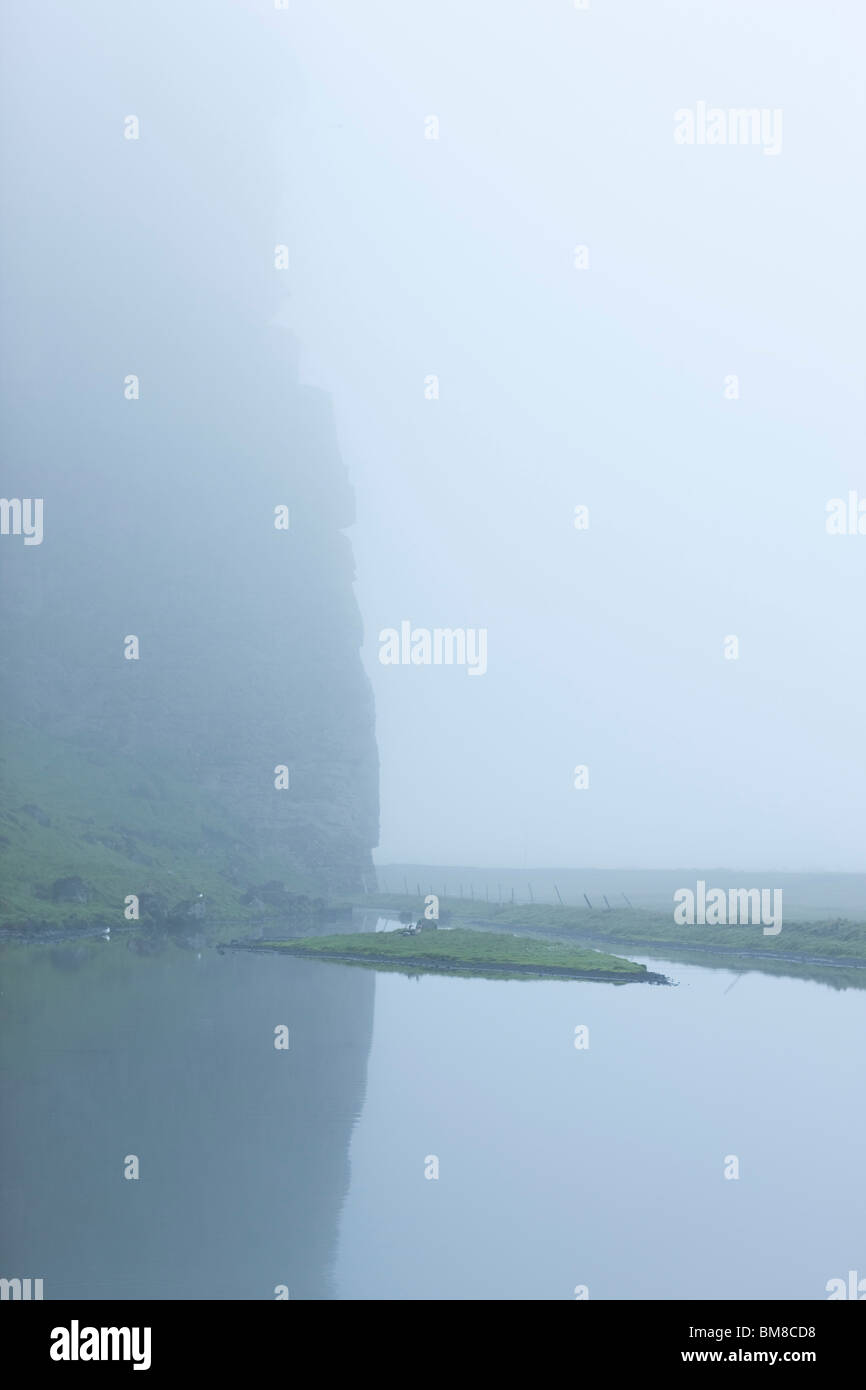 Vögel im Nebel am kleinen Teich am Skoganupur, Island Stockfoto