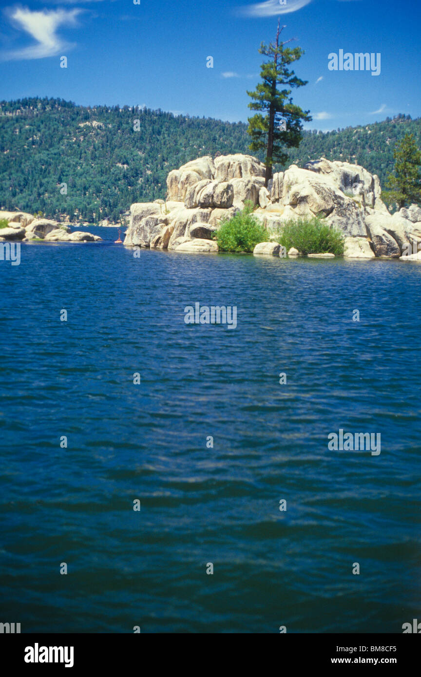 Baum wächst hoch auf felsigen Insel in Boulder Bay Gegend von Big Bear Lake, Kalifornien, USA.  Wasser-Luft-Wald-Natur Stockfoto