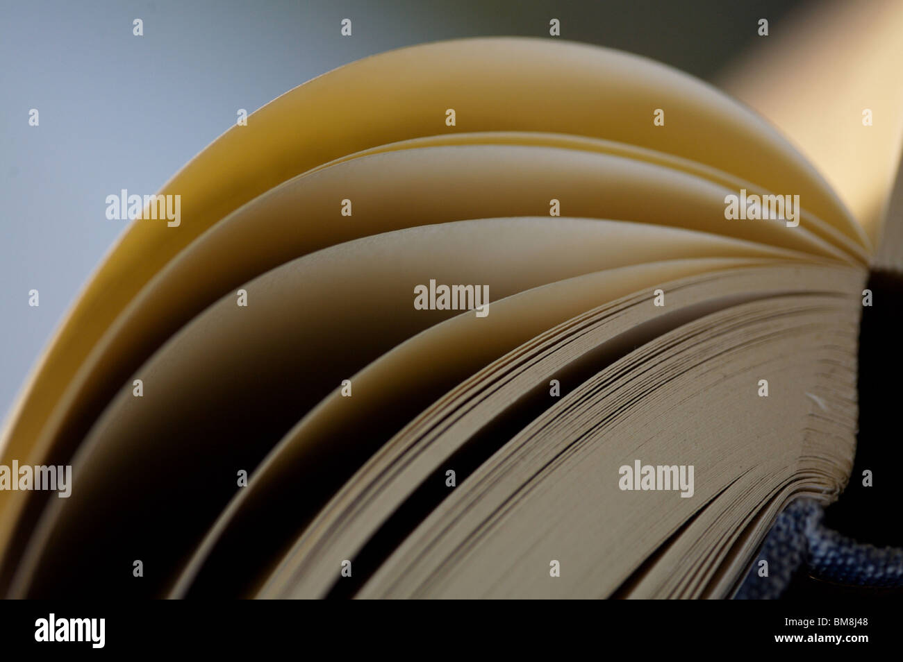 Seiten eines Buches Stockfoto