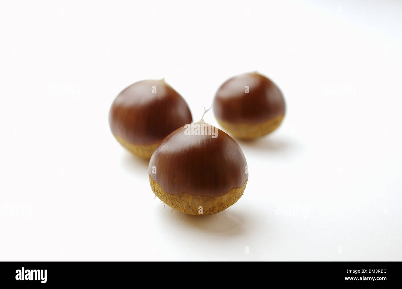 Drei Kastanien Stockfoto