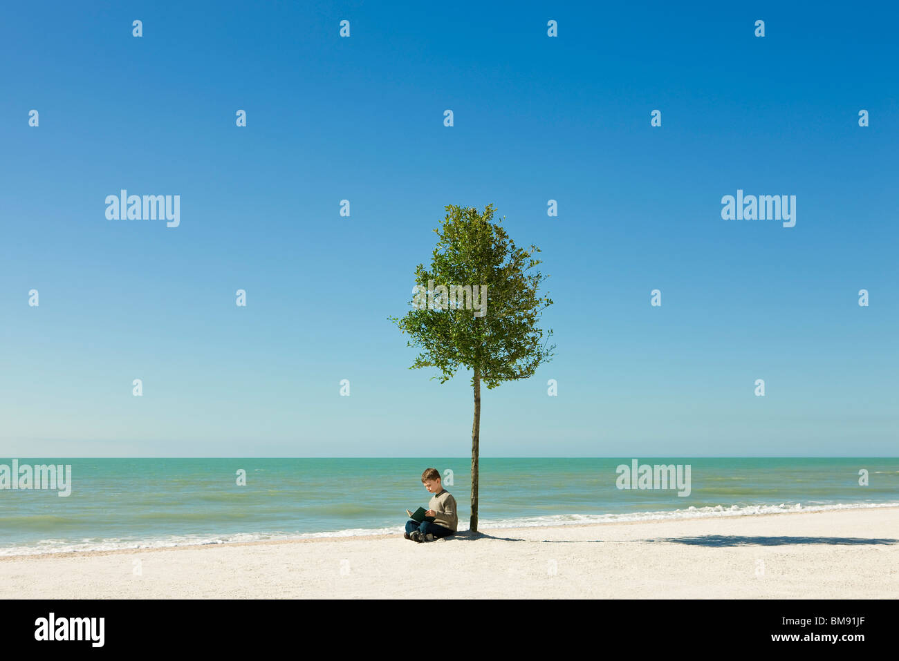 Junge liest Buch unter Baum wächst am Strand Stockfoto
