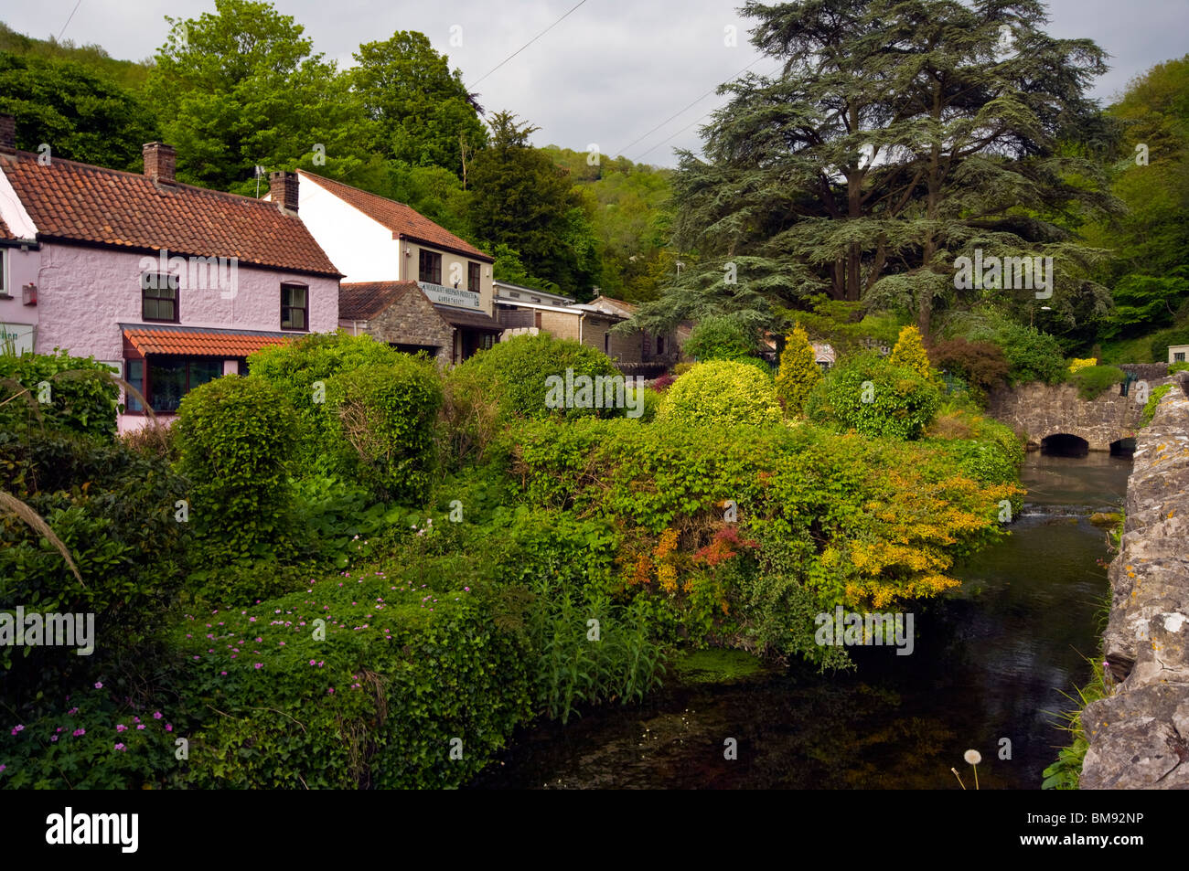 Der Fluss Yeo herabfließende Cheddar Gorge Somerset England Stockfoto