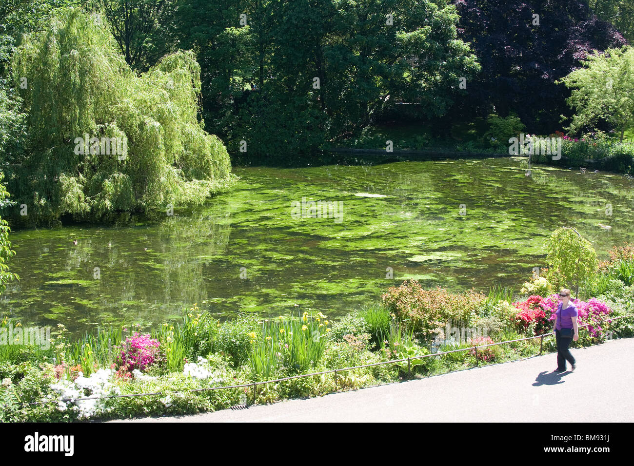 Kind zu Fuß Weg Blumen See Bäume stagniert Stockfoto