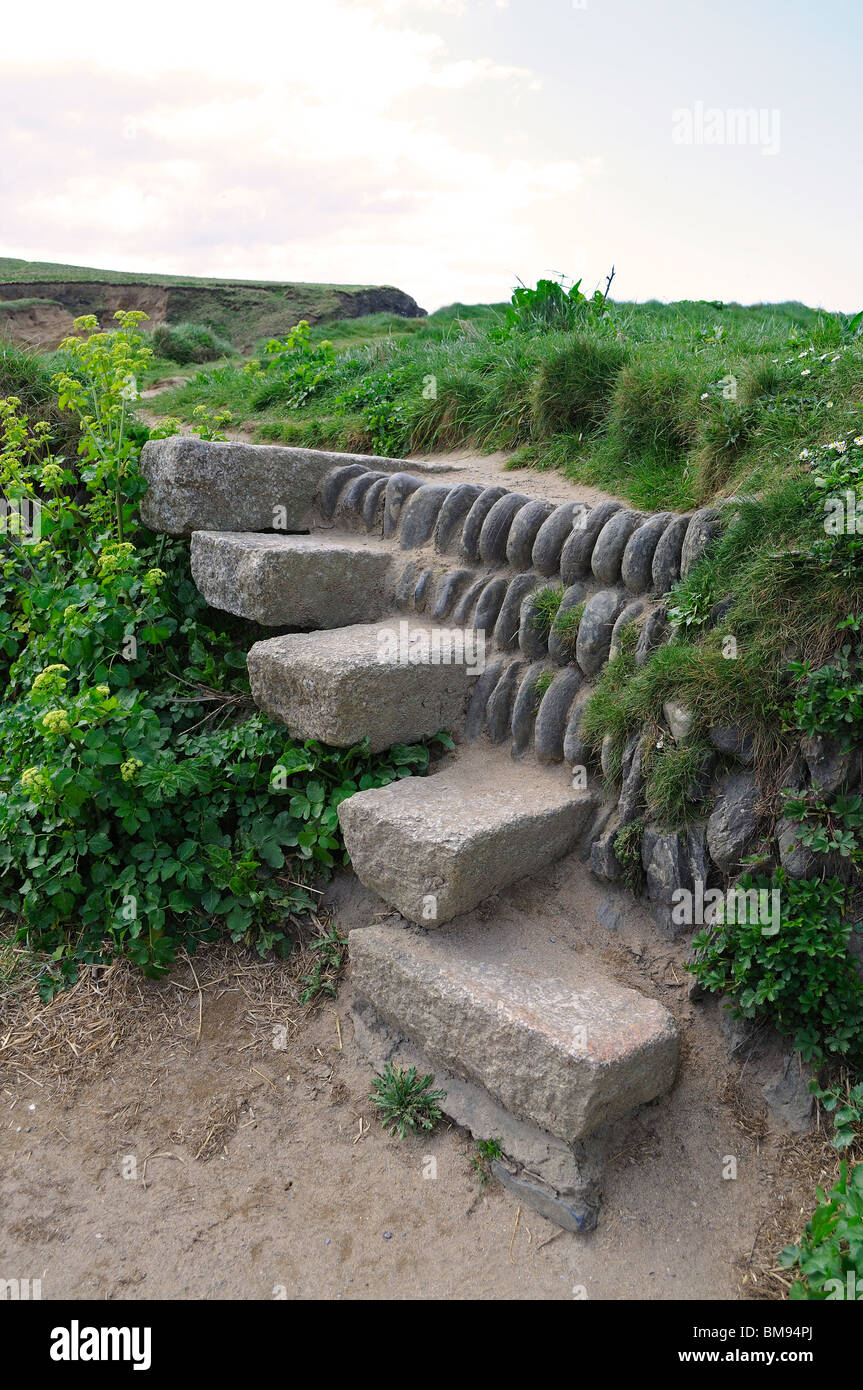 Steintreppen auf dem Süd-west Küste Weg bei Gunwalloe in der Nähe von Helston in Cornwall, Großbritannien Stockfoto