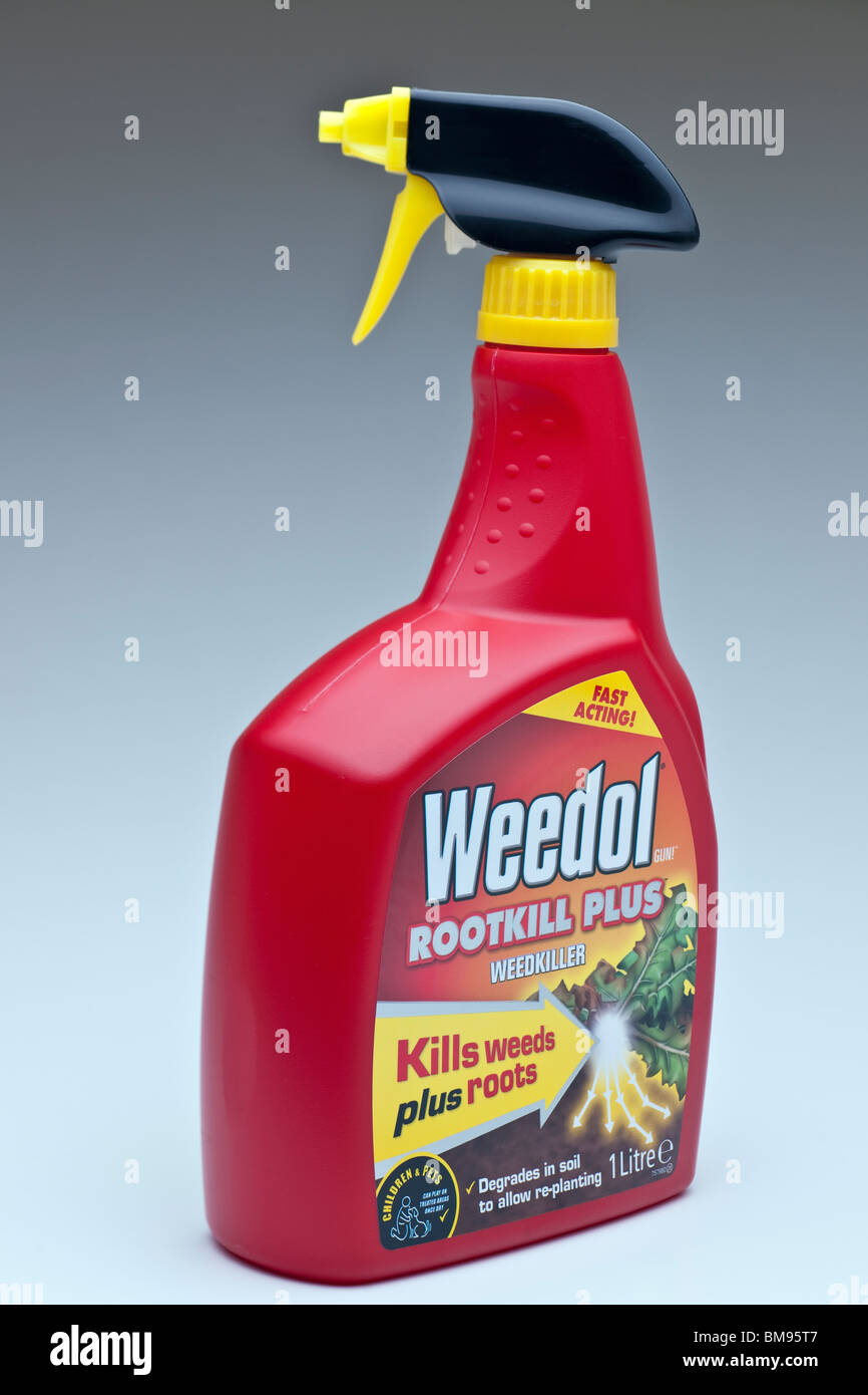 Sprühbehälter von Weedol Rootkill plus Stockfoto