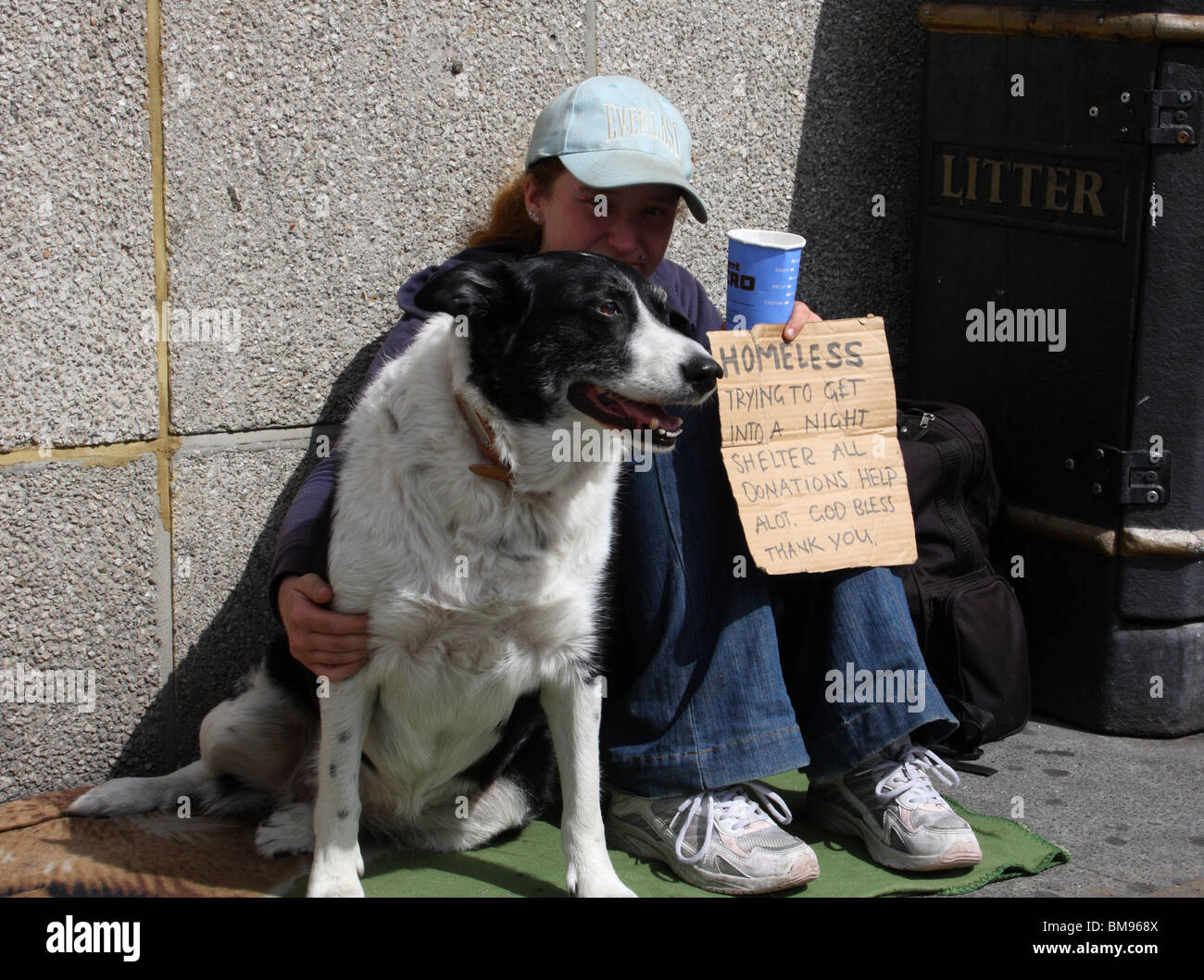 Eine junge Obdachlose Frau mit einem Hund betteln um Geld auf einer Londoner Straße. Stockfoto