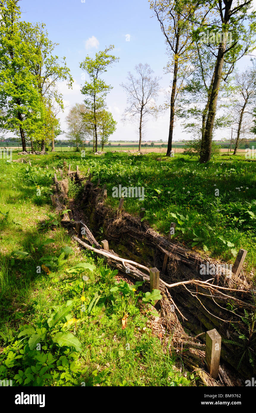 Ersten Weltkrieg Deutsch original Graben an Bayernwald, Ypres Salient Stockfoto