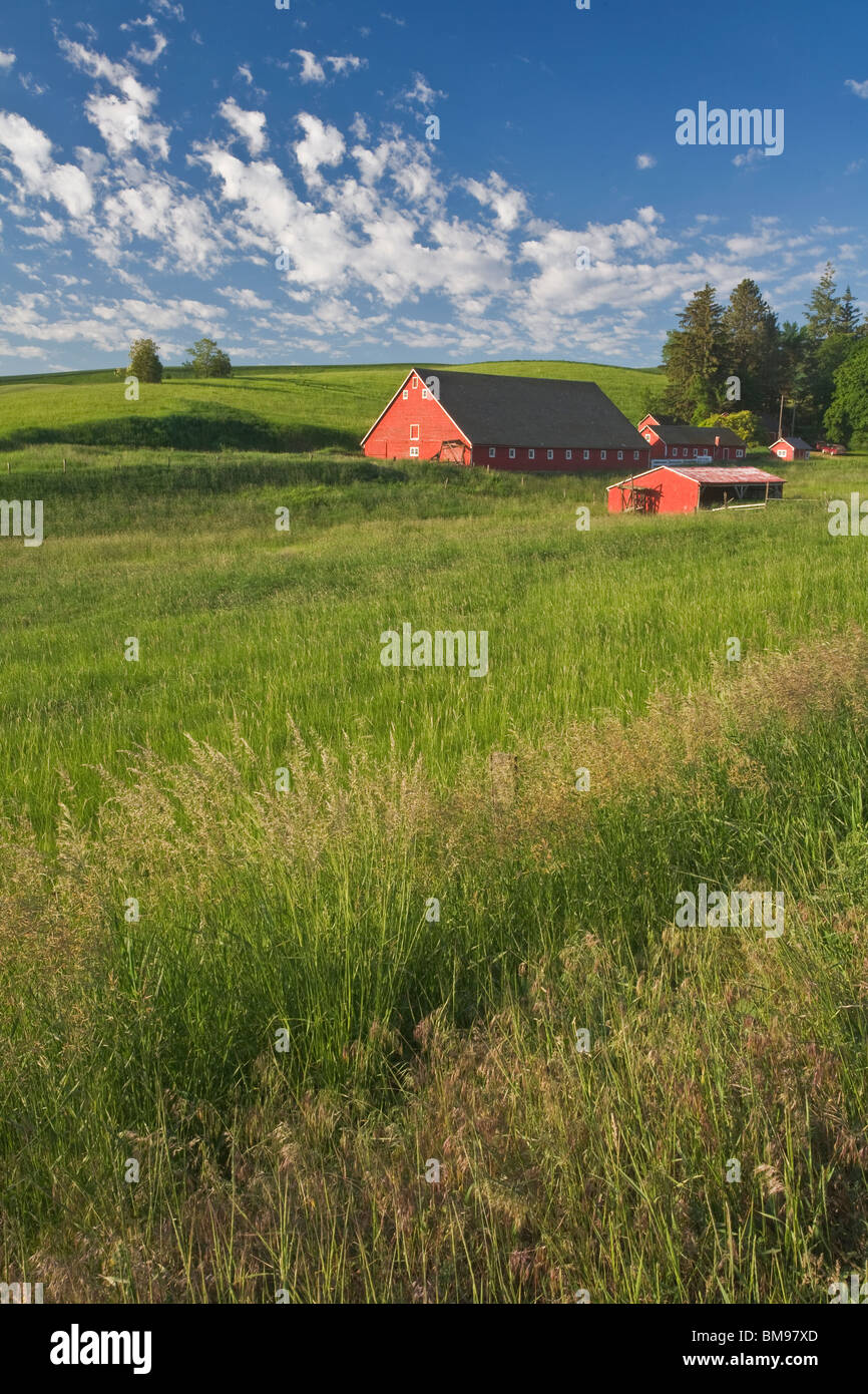 Whitman County, WA: Verwitterte rote Scheune und Hof-Gebäude Stockfoto