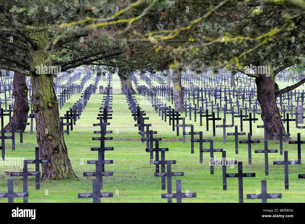 Deutsche Gräber, Weltkrieg Friedhof, Neuville-St. Vaast, Frankreich Stockfoto