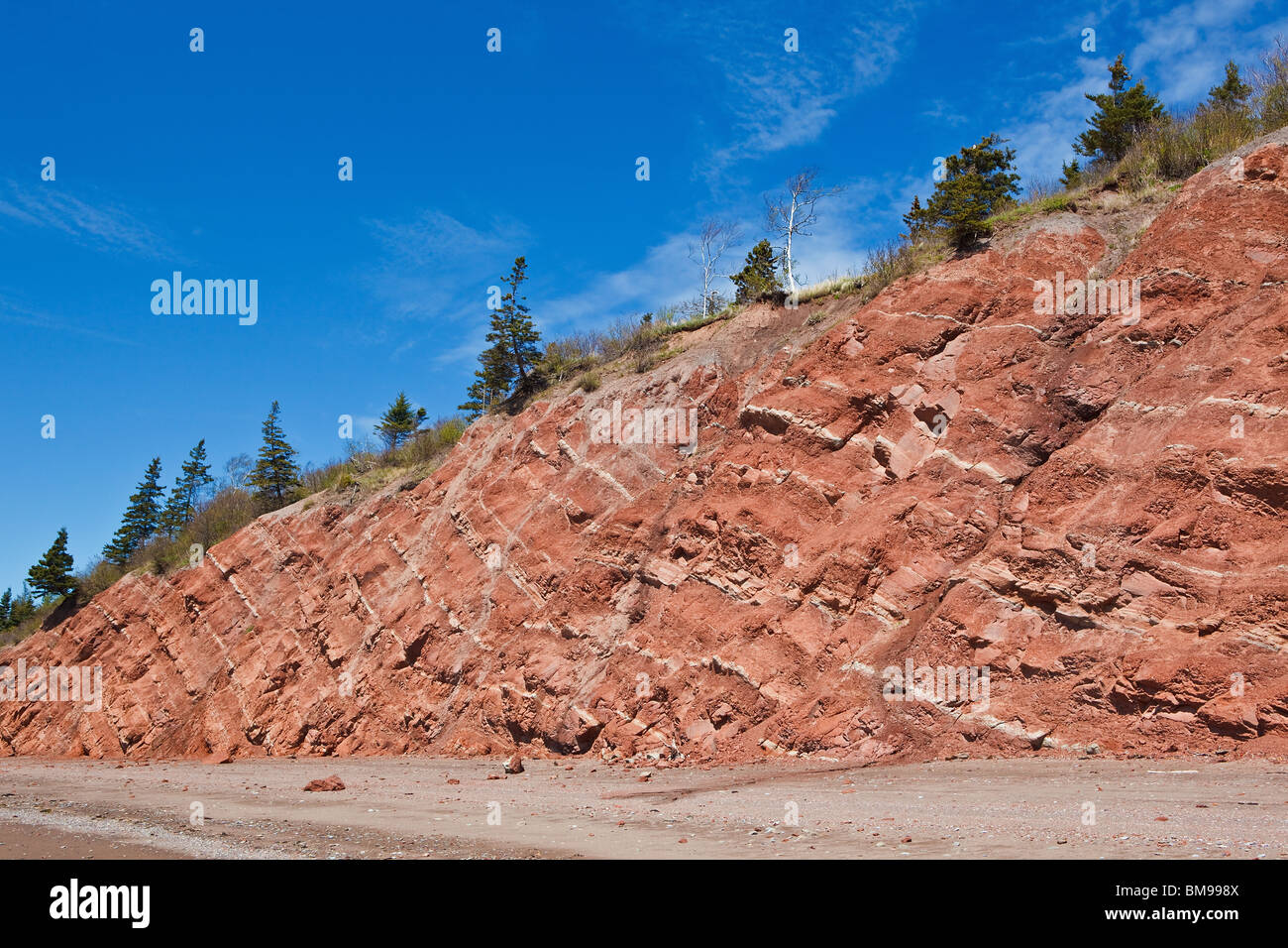 Felsenküste am Clark Head - Bay Of Fundy in der Nähe von Amherst, NS, Canada Stockfoto