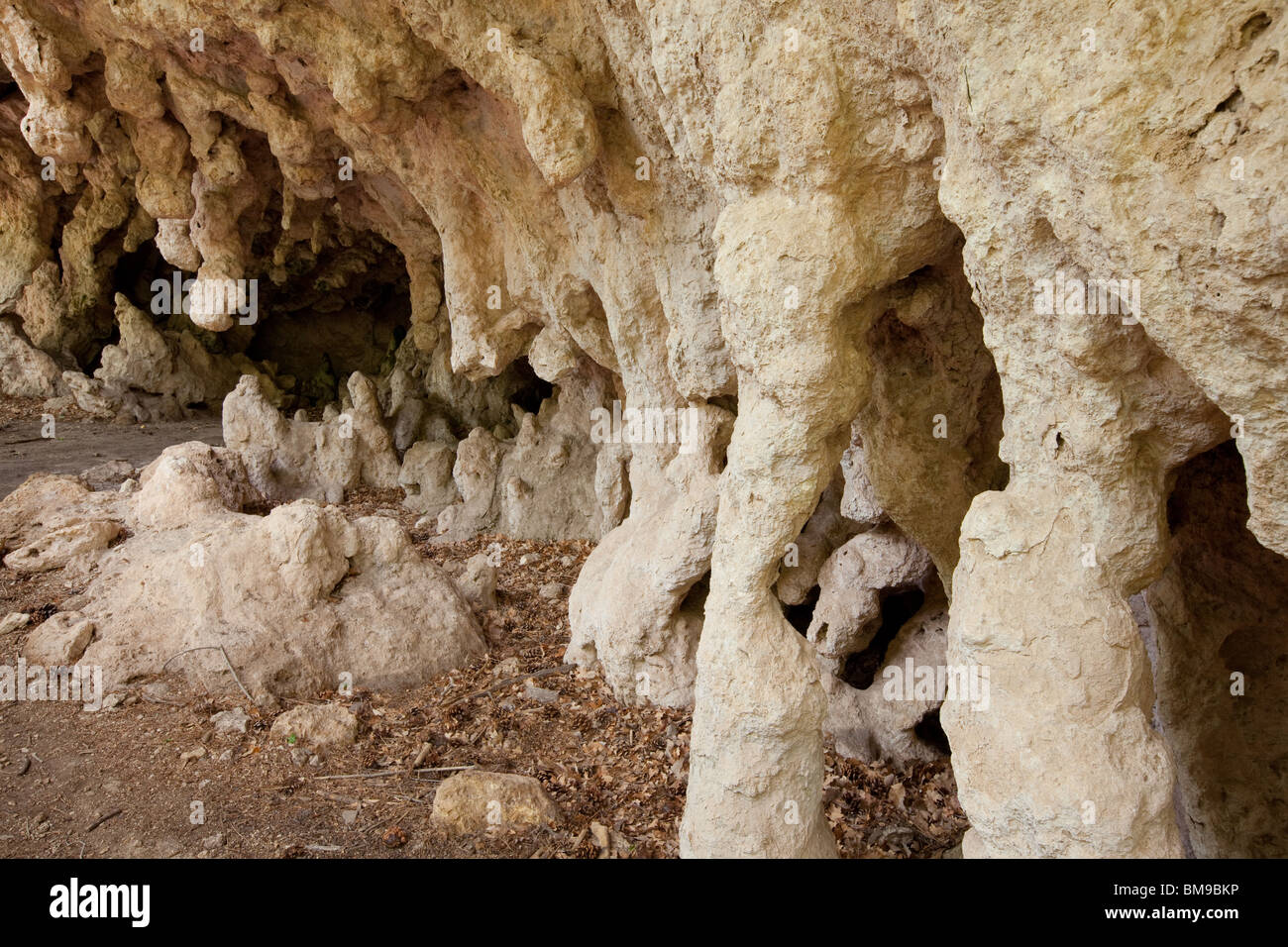 Grotte, McKittrick Canyon, Guadalupe Mountains Nationalpark, Texas Stockfoto