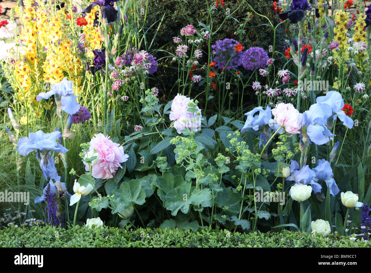 Englische Blumen, viktorianischer Voliere Garten, Chelsea Flower Show 2010 Stockfoto
