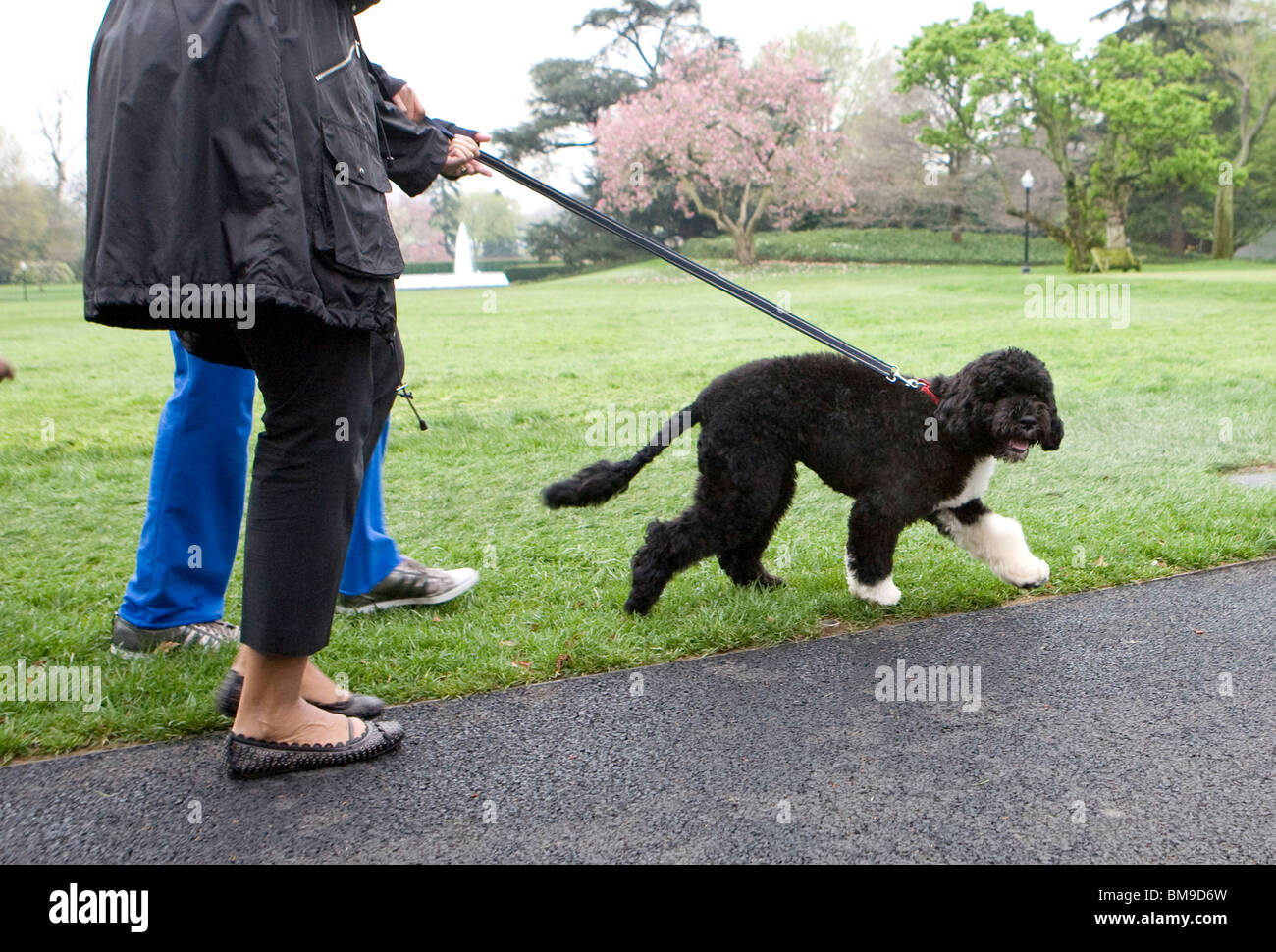 Prasident Barack Obama Und First Lady Michelle Tochter Sasha Und Malia Mit Ihrem Hund Bo Stockfotografie Alamy