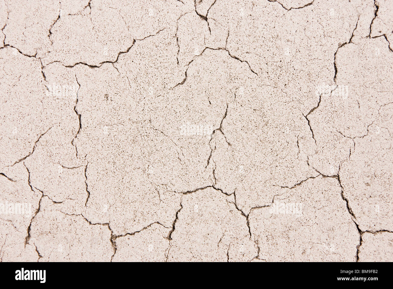 Gebrochen weiße Wand, Nahaufnahme, full frame Stockfoto