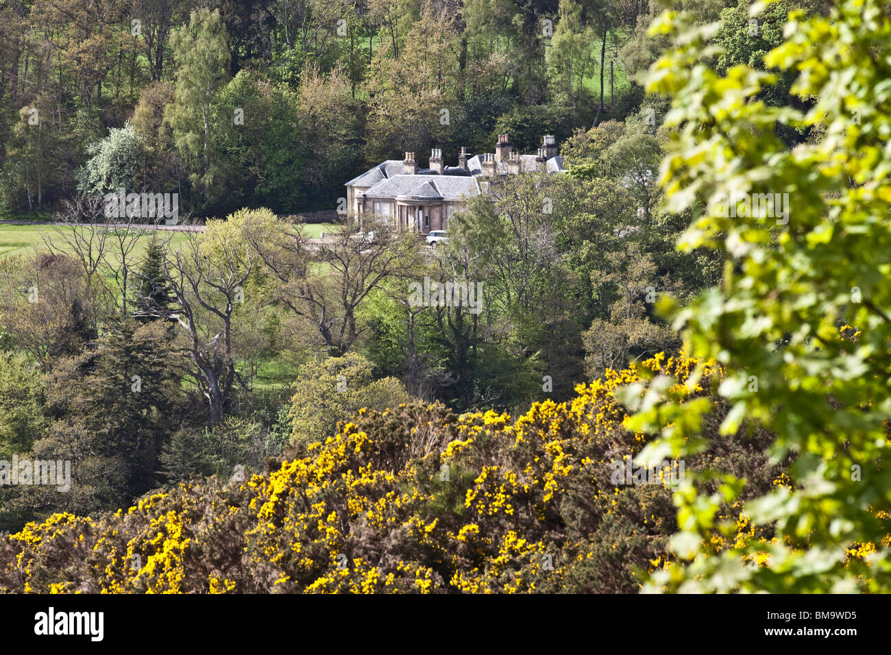 Ein Landhaus in Tweed Valley, Scottish Borders Stockfoto