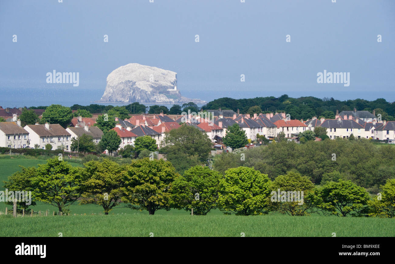 Bass Rock schwimmt in der Ferne über Sozialwohnungen in North Berwick, Schottland Stockfoto