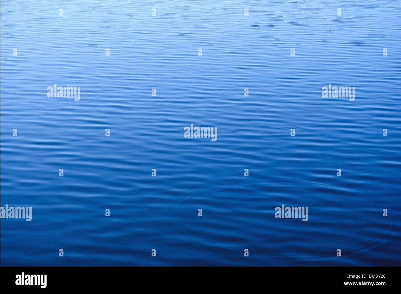 Blaue Wasserfläche mit kleinen Wellen Stockfoto