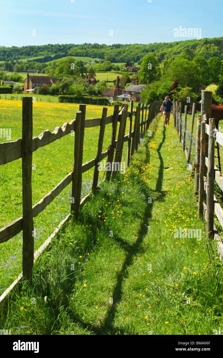 Einen öffentlichen Weg zwischen zwei Feldern von Kleiderbügel Holz den Hügel hinunter zu Fingest. Stockfoto