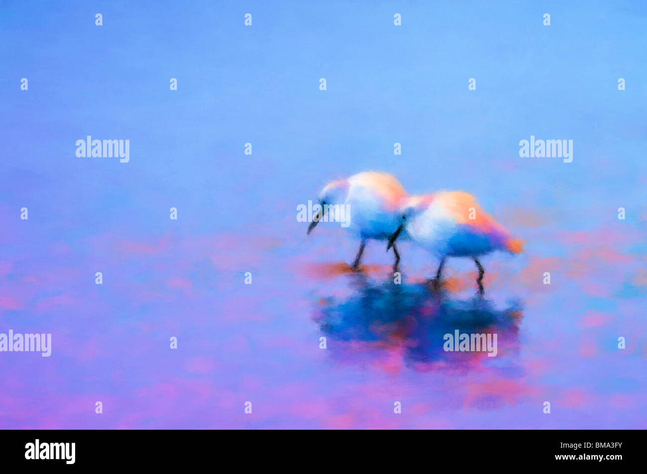 Florida, Merritt Island, verändert Digital malerische Bild von zwei Snowy Reiher in Pastelltönen mit blau und rosa Hintergrund gemalt. Stockfoto