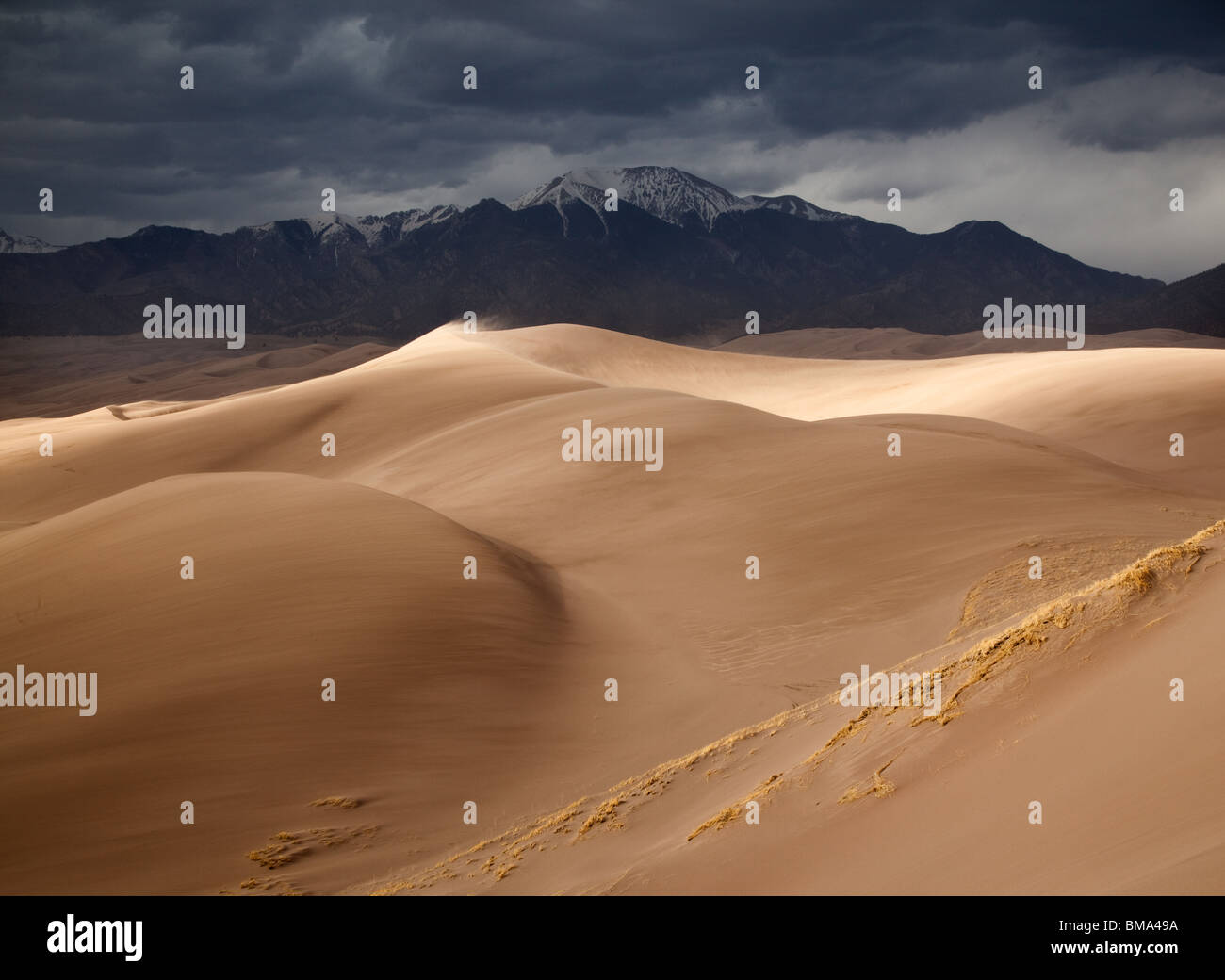 Dunefield und Sangre De Cristo Mountains, Great Sand Dunes National Park, Colorado Stockfoto