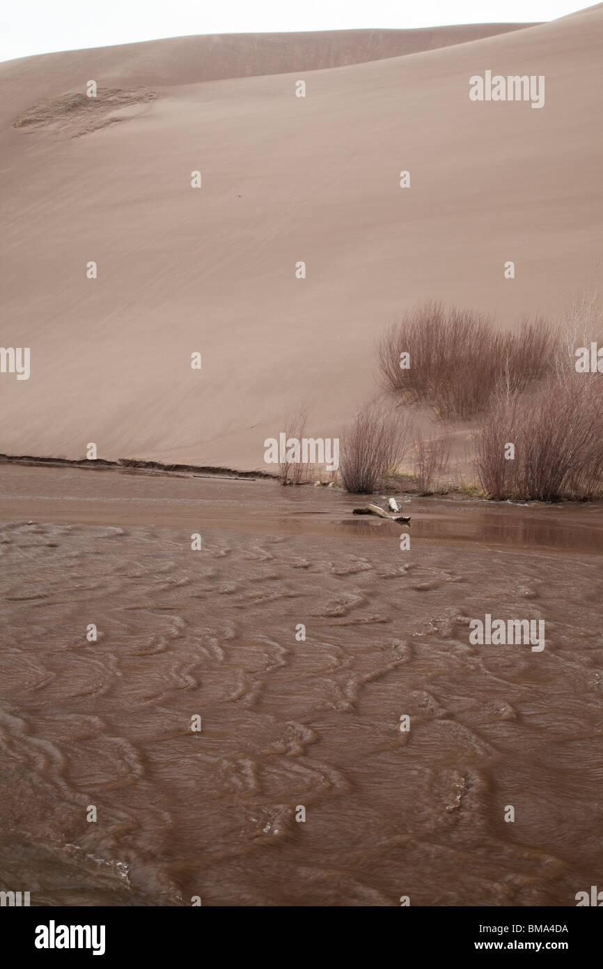 Antidunes in Medano Creek, Great Sand Dunes National Park, Colorado Stockfoto