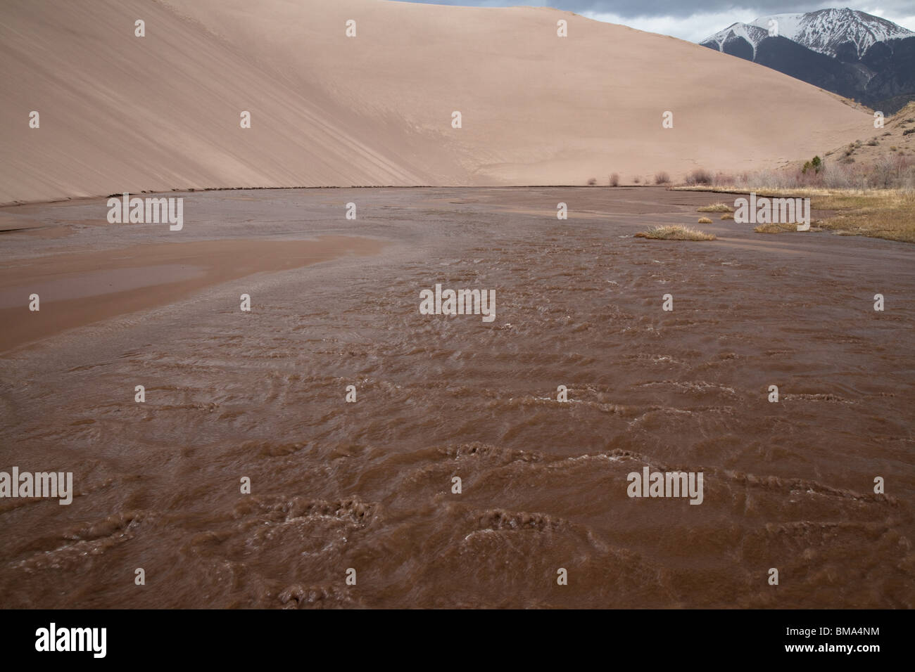 Antidunes in Medano Creek, Great Sand Dunes National Park, Colorado Stockfoto