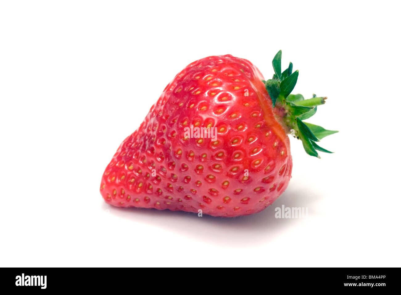Eine Erdbeere, isoliert auf weiss Stockfoto