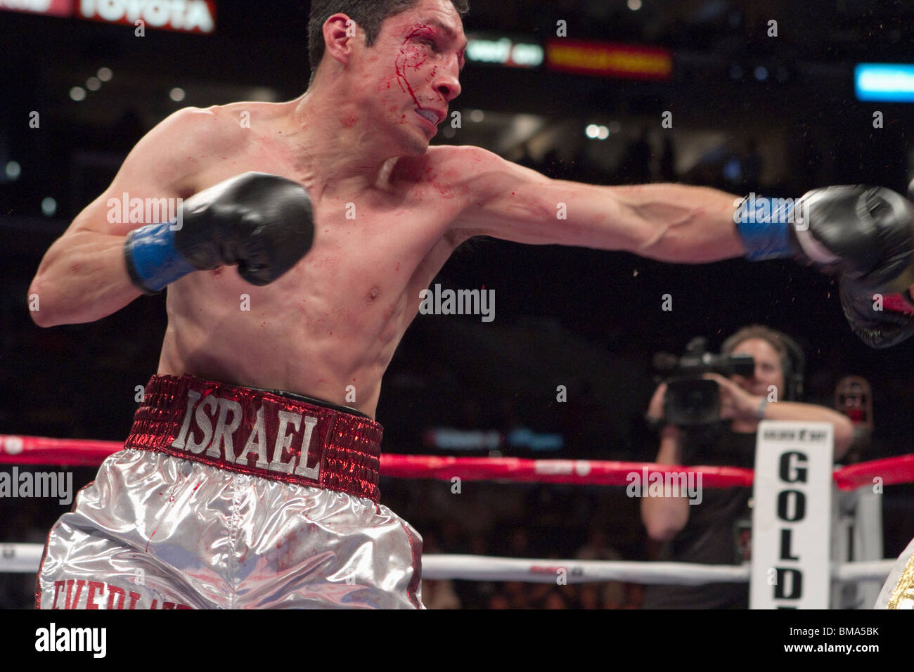 Israel Vazquez Vs Rafael Marquez Stockfoto