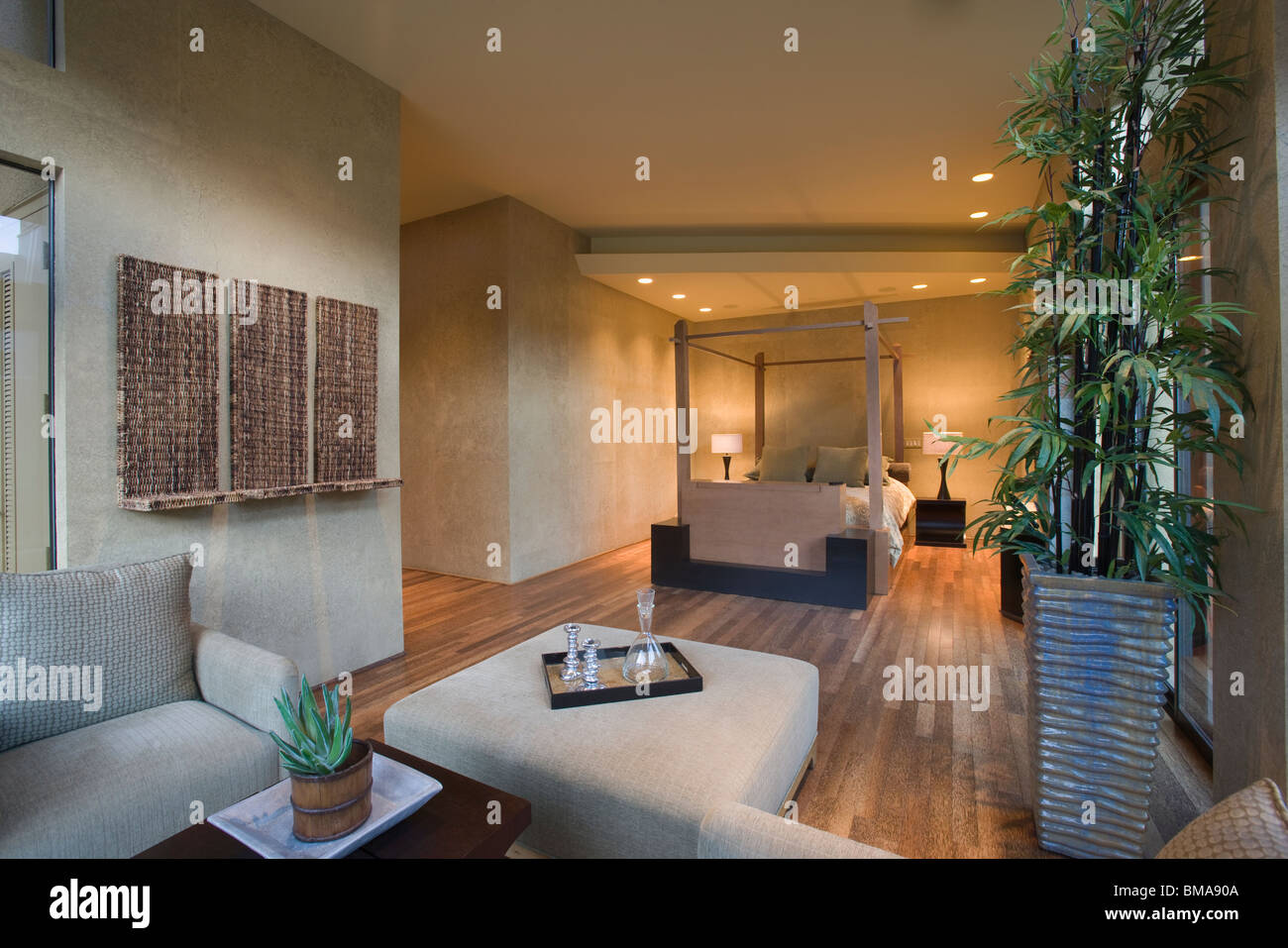 Geräumiges Wohnzimmer Interieur mit Bambus Zimmerpflanze Stockfoto