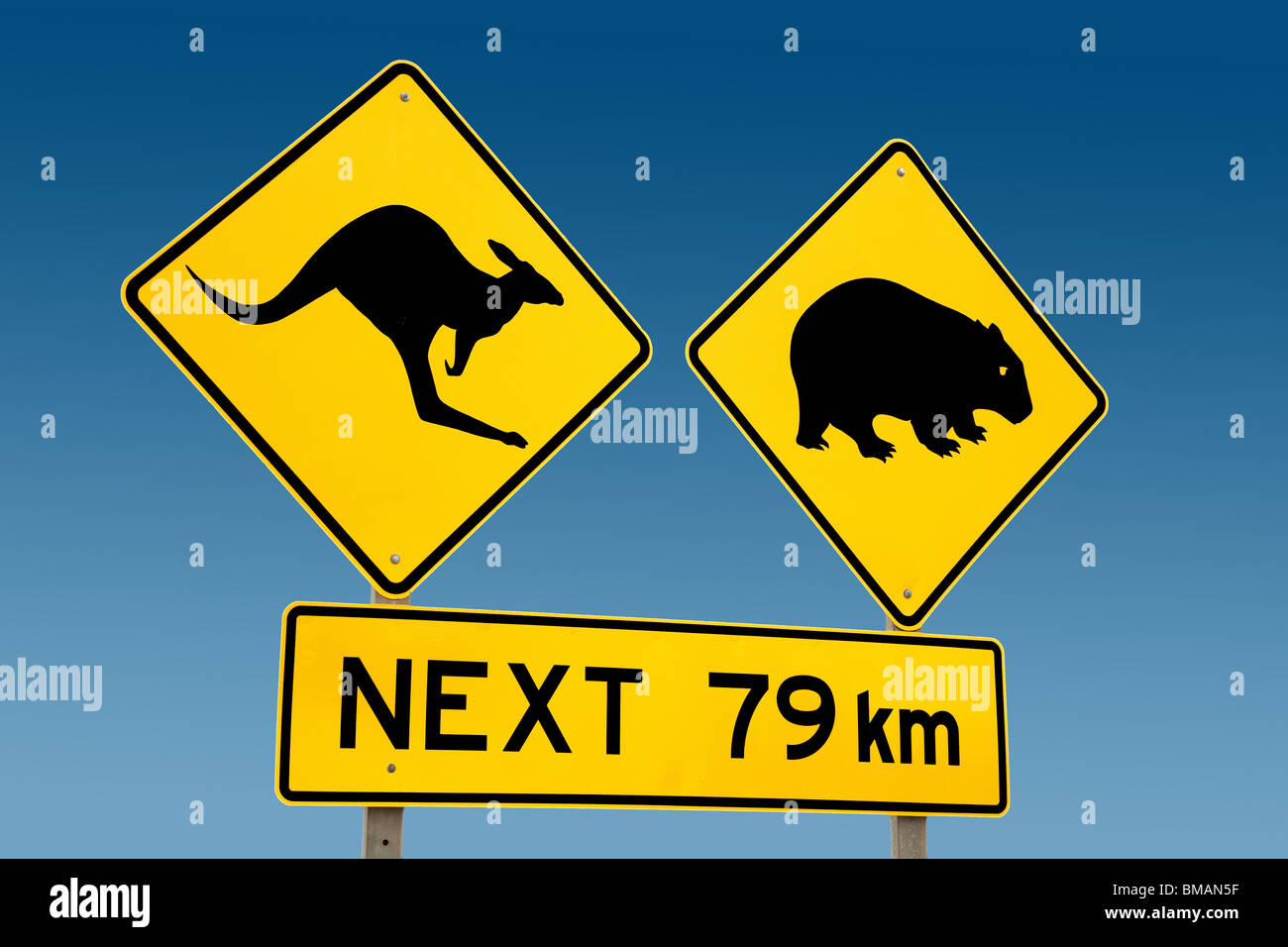Känguru und Wombat Warnung melden Sie Australien Stockfoto